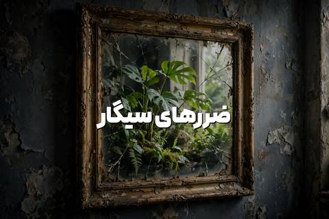ضررهای سیگار، لیست ۲۰ مورد از مهلک‌ترین مضرات